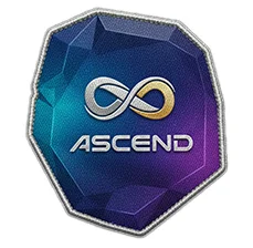 Raised silicon - Portfolio