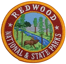 Embroidered Patches - Portfolio