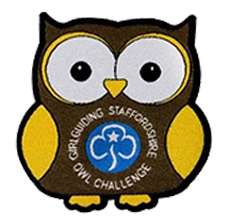 Woven Patches - Portfolio