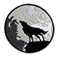 Iron Patches - Portfolio