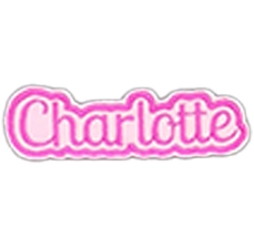 Name Badges - Portfolio